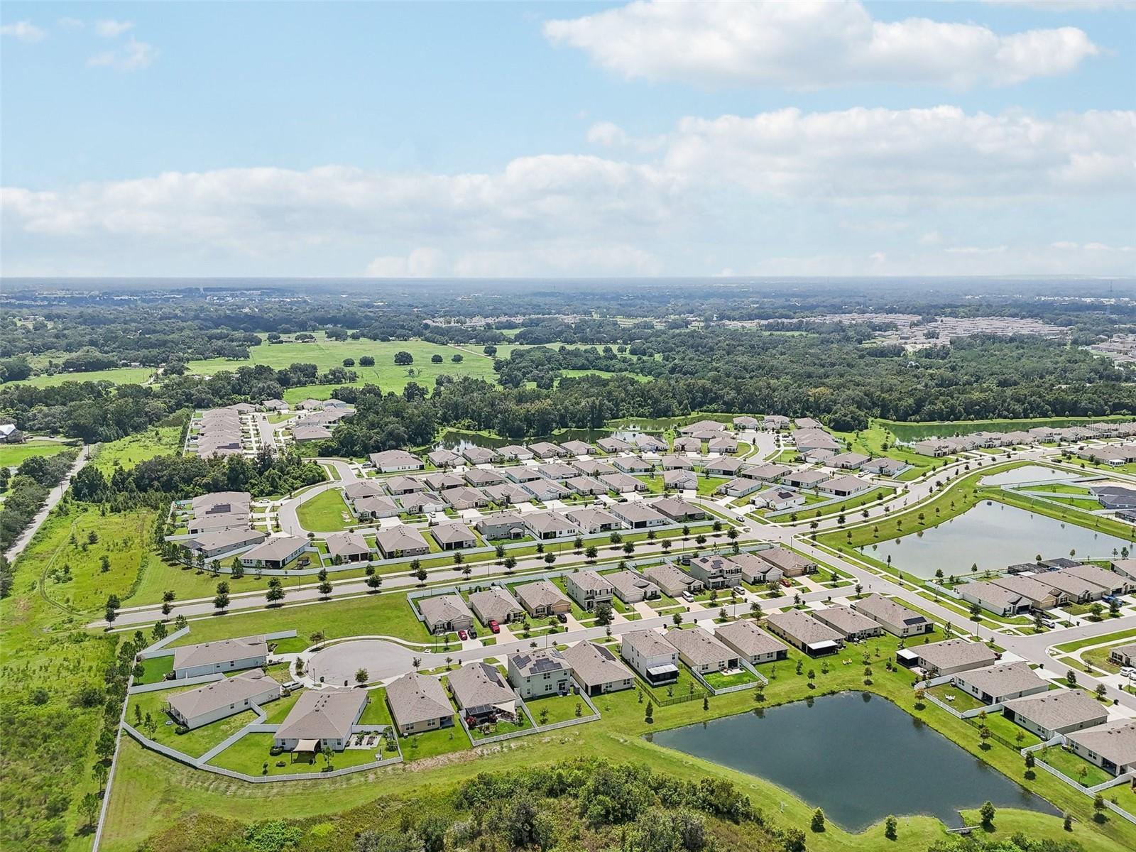 7323 STEER BLADE DR, ZEPHYRHILLS, FL, 33541