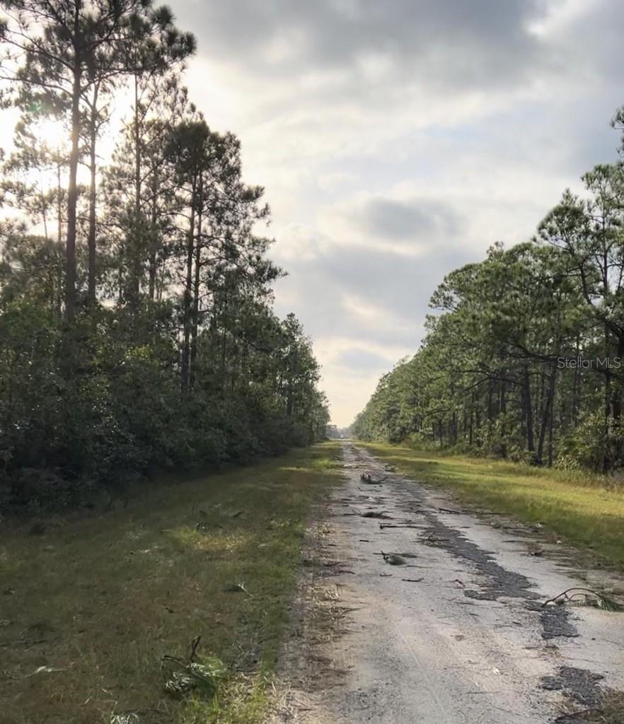 4081 CALENDULA DR, INDIAN LAKE ESTATES, FL, 33855