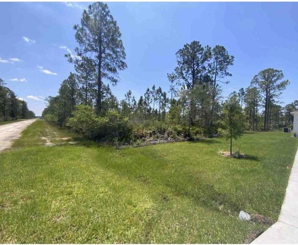 4081 CALENDULA DR, INDIAN LAKE ESTATES, FL, 33855