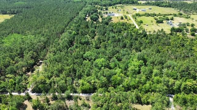 1875 OAK VIEW FARMS, OSTEEN, FL, 32764