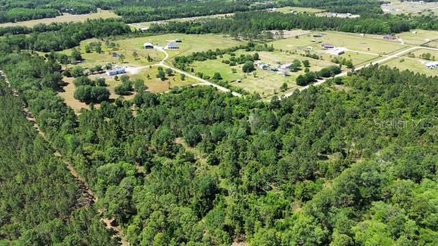 1875 OAK VIEW FARMS, OSTEEN, FL, 32764