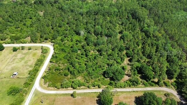 1875 OAK VIEW FARMS, OSTEEN, FL, 32764