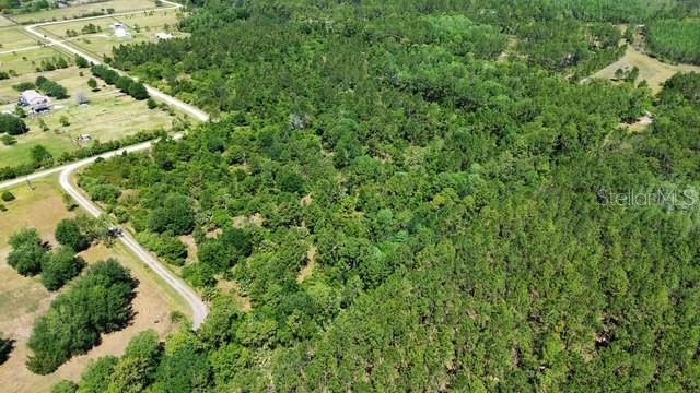 1875 OAK VIEW FARMS, OSTEEN, FL, 32764