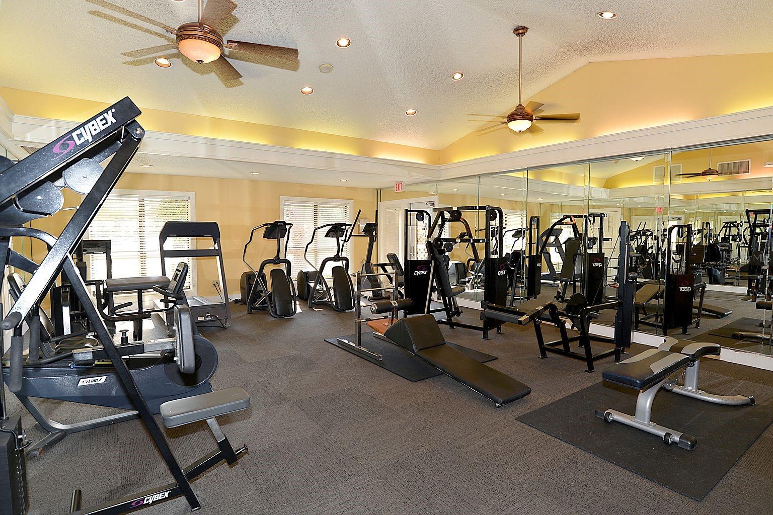 11901 4TH ST N #11203, ST PETERSBURG, FL, 33716