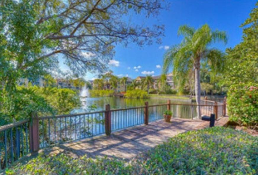 11901 4TH ST N #11203, ST PETERSBURG, FL, 33716