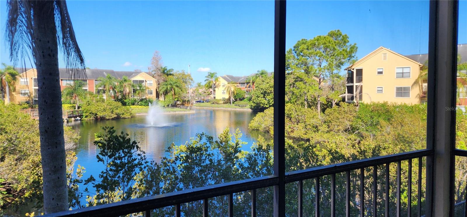 11901 4TH ST N #11203, ST PETERSBURG, FL, 33716