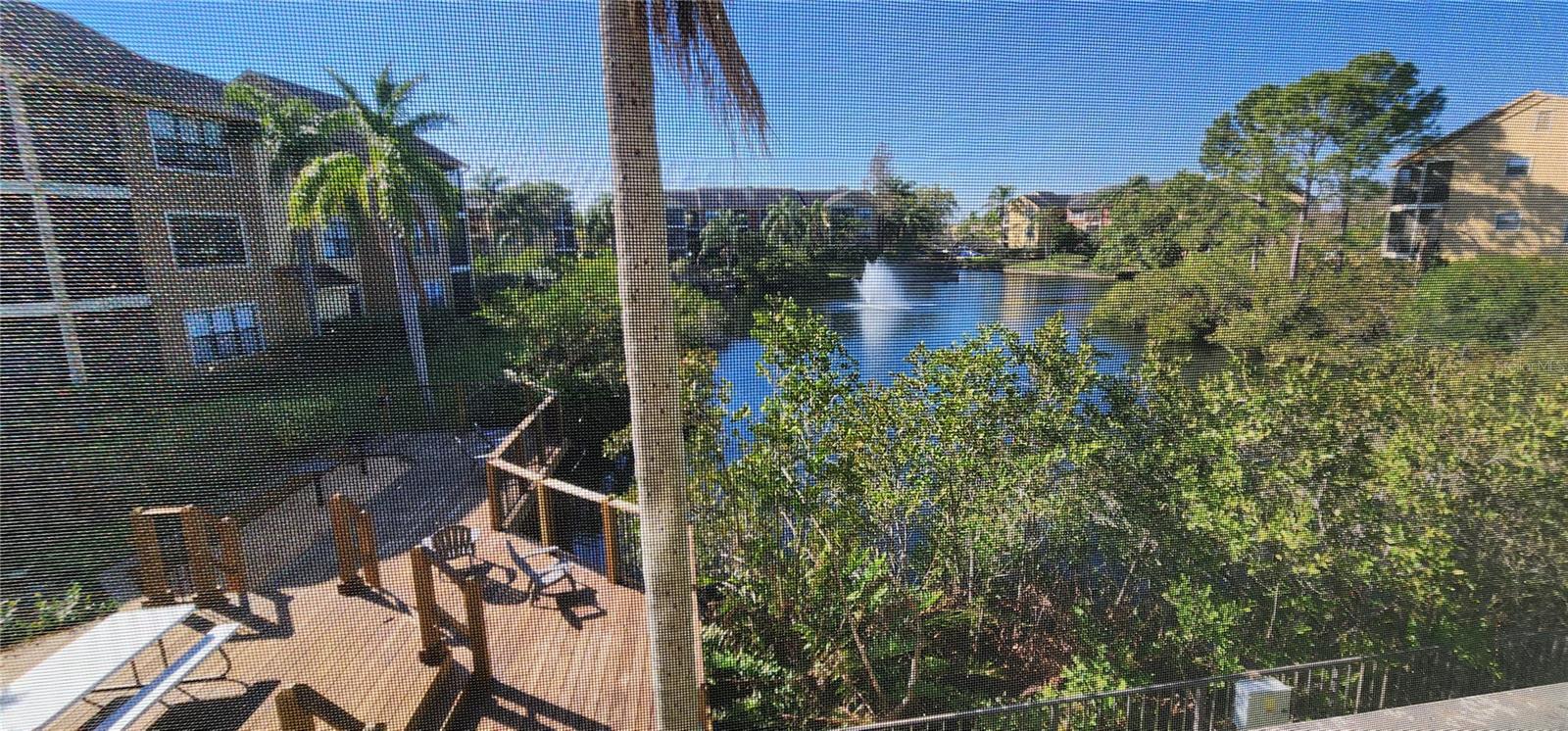 11901 4TH ST N #11203, ST PETERSBURG, FL, 33716