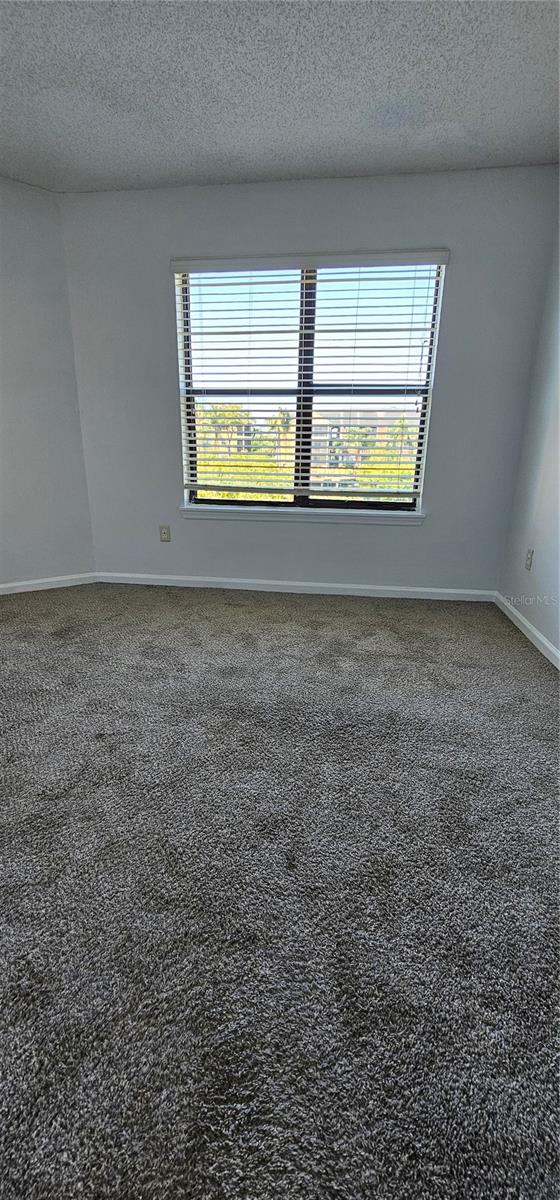 11901 4TH ST N #11203, ST PETERSBURG, FL, 33716