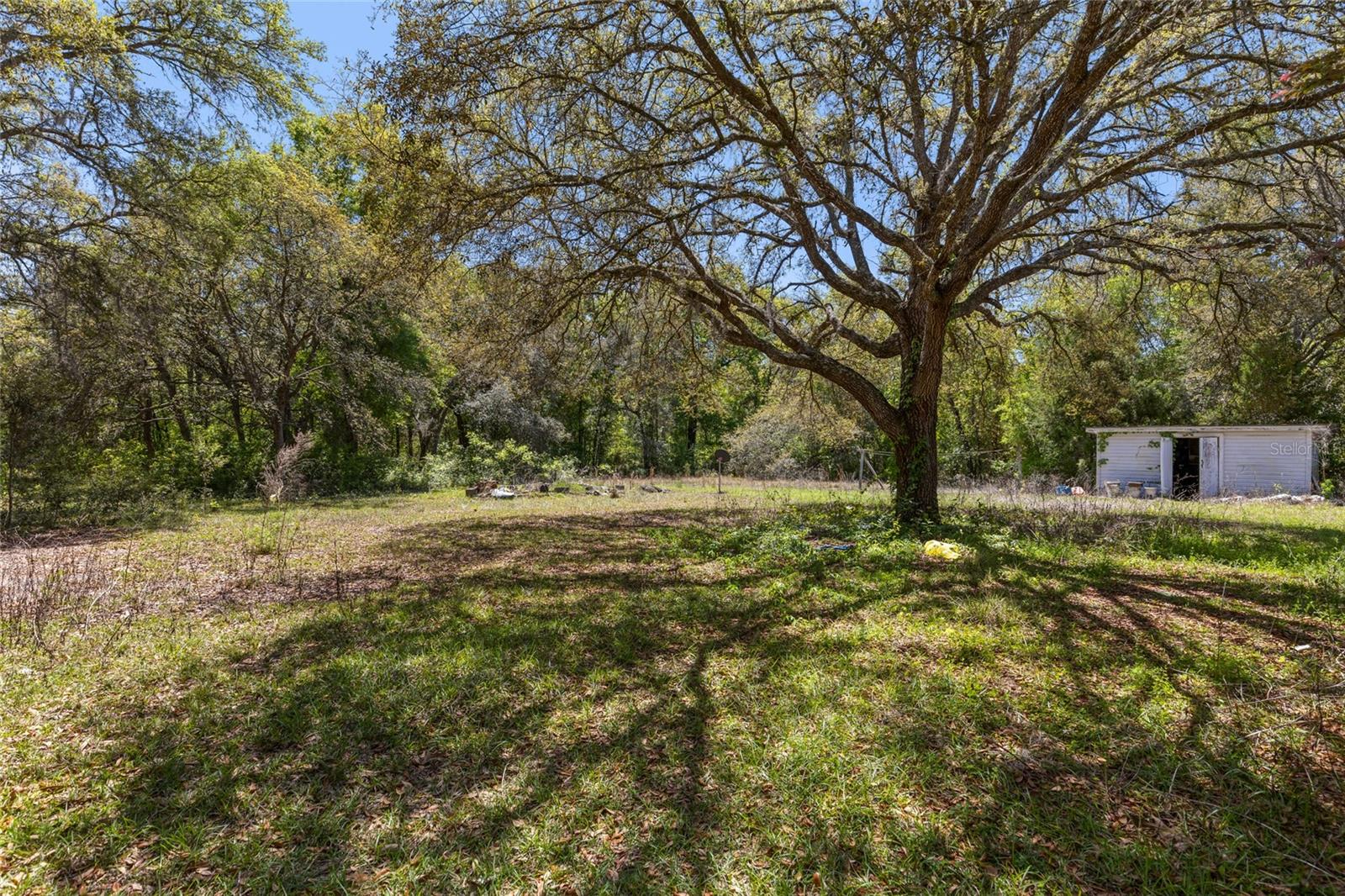 10430 NE 92ND PL, BRONSON, FL, 32621