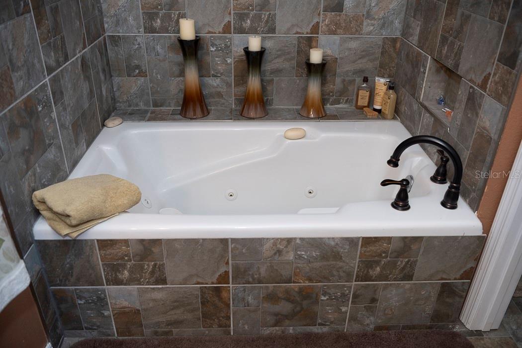 36019 CLEAR LAKE DR, EUSTIS, FL, 32736