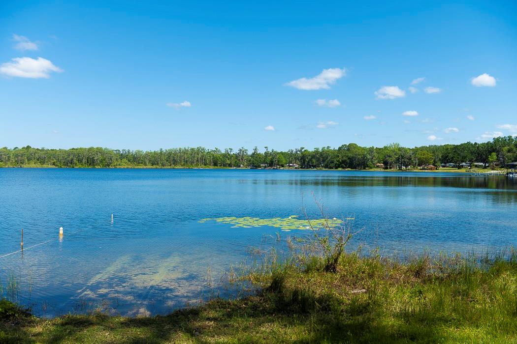 36019 CLEAR LAKE DR, EUSTIS, FL, 32736