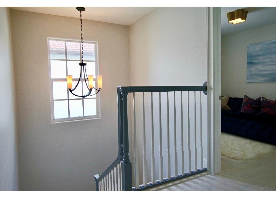 4316 W SAN PEDRO ST, TAMPA, FL, 33629