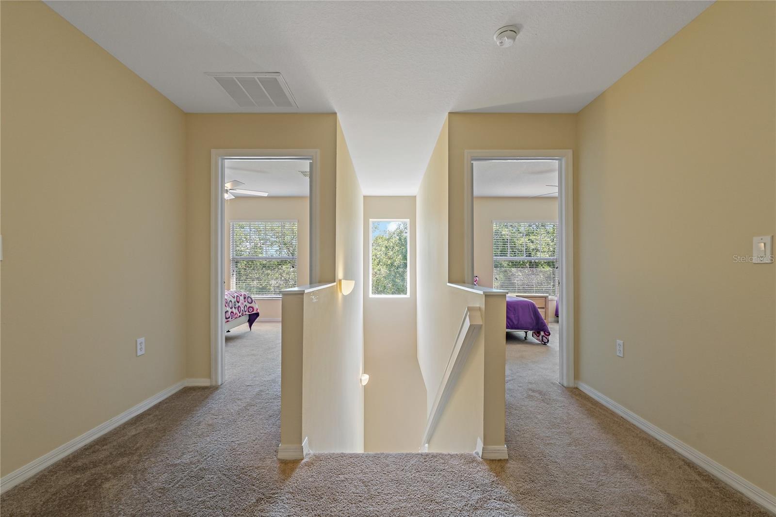 20117 INDIAN ROSEWOOD DR, TAMPA, FL, 33647