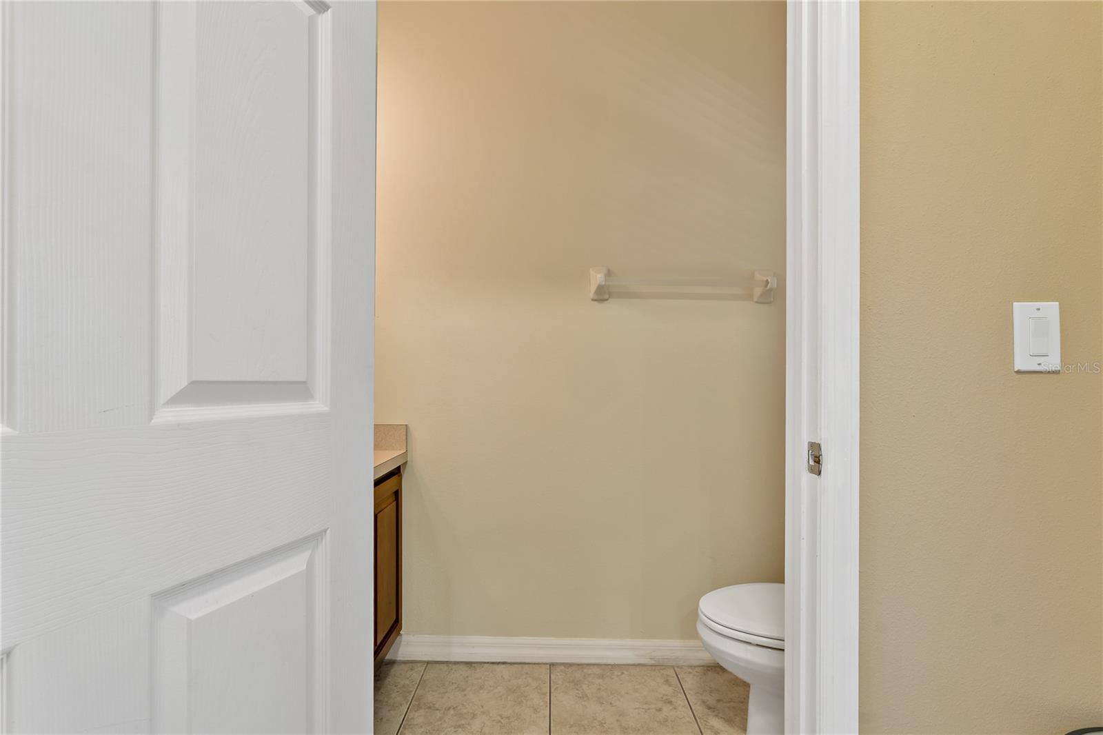 20117 INDIAN ROSEWOOD DR, TAMPA, FL, 33647