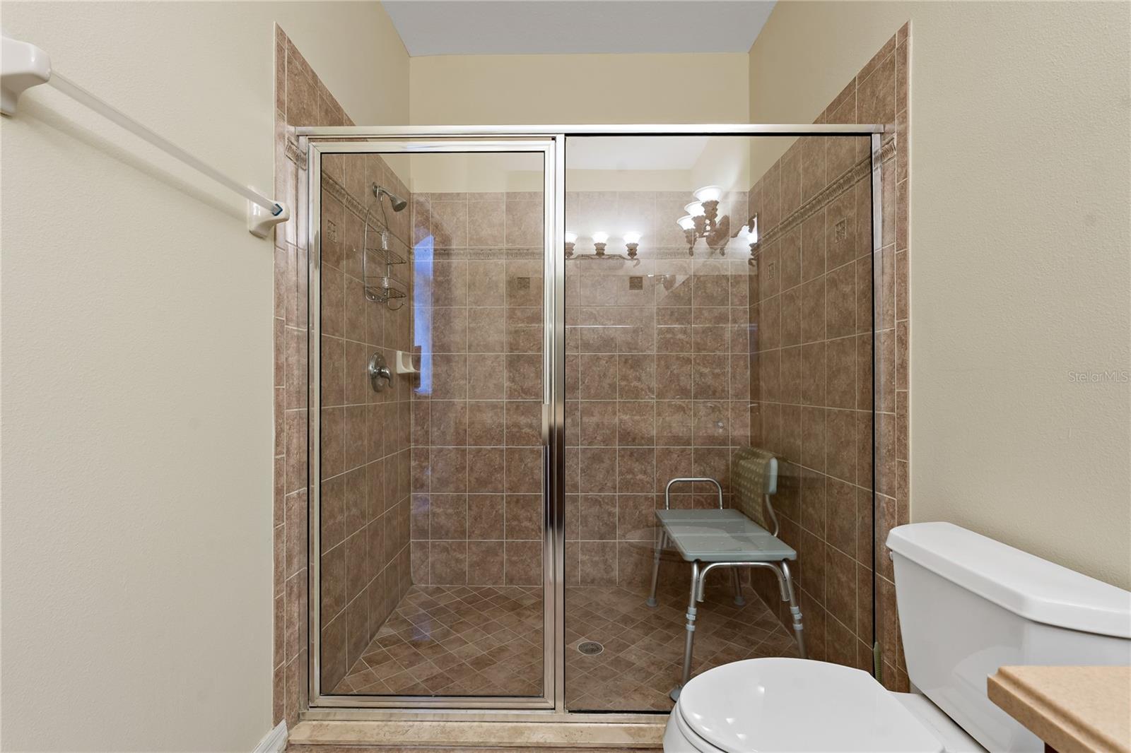 20117 INDIAN ROSEWOOD DR, TAMPA, FL, 33647