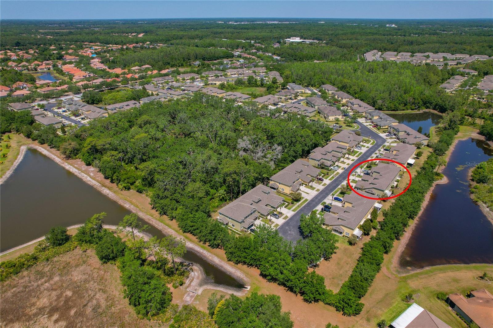 20117 INDIAN ROSEWOOD DR, TAMPA, FL, 33647