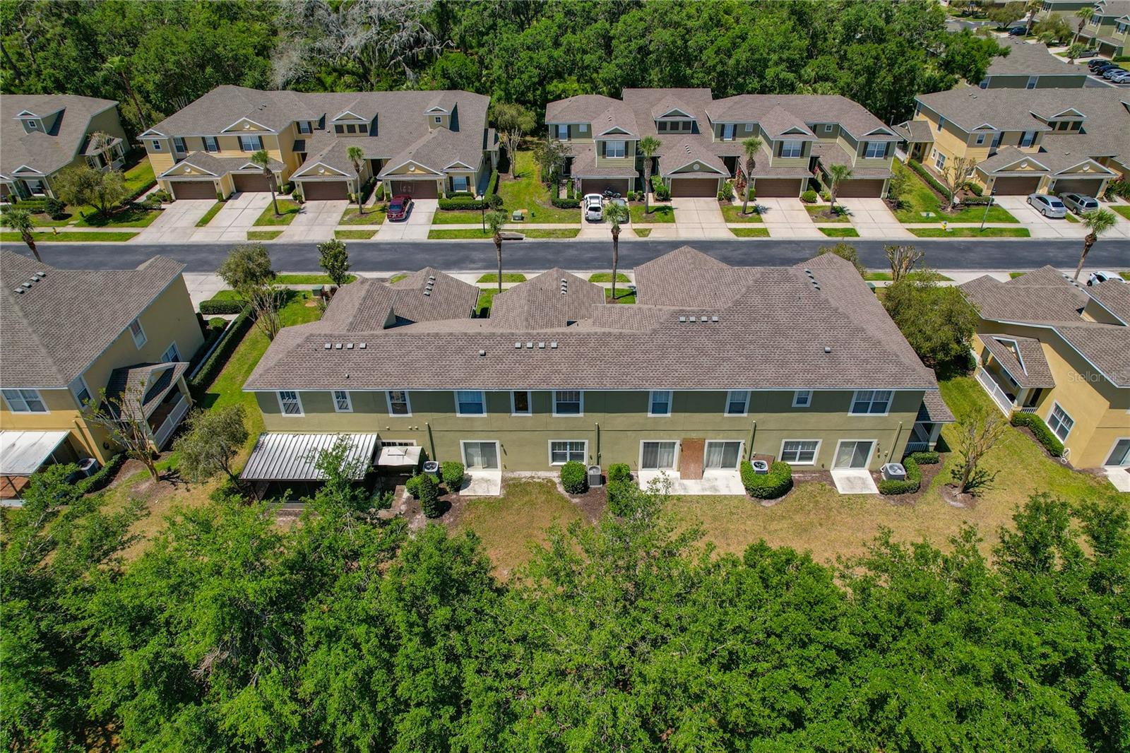 20117 INDIAN ROSEWOOD DR, TAMPA, FL, 33647