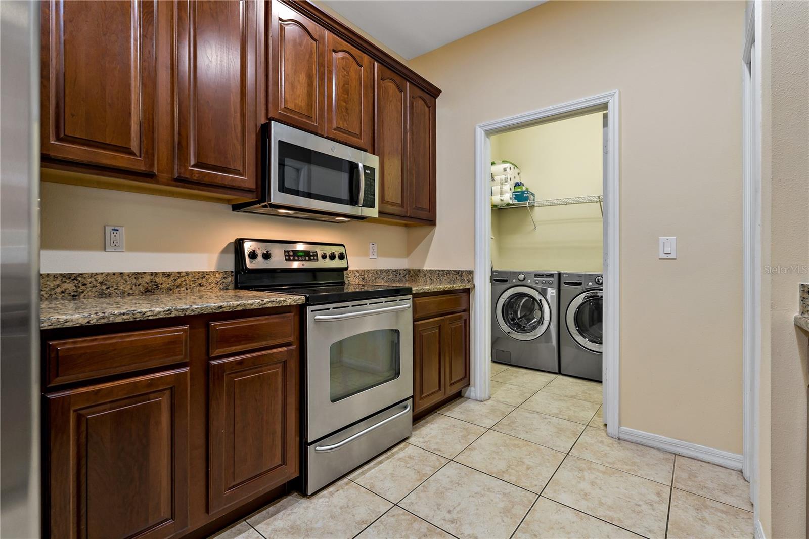 20117 INDIAN ROSEWOOD DR, TAMPA, FL, 33647