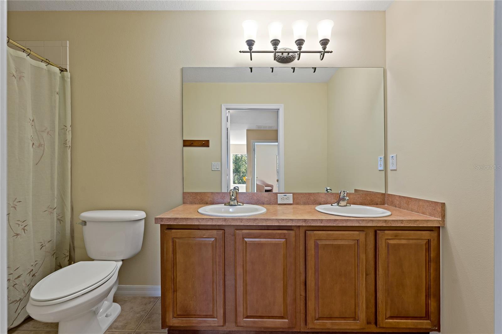 20117 INDIAN ROSEWOOD DR, TAMPA, FL, 33647