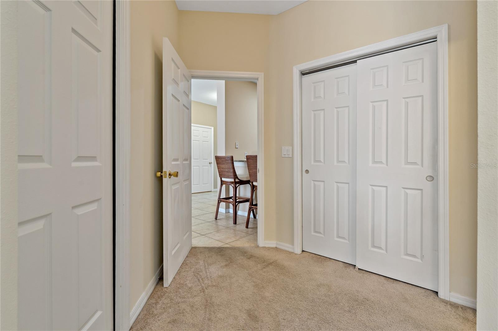 20117 INDIAN ROSEWOOD DR, TAMPA, FL, 33647