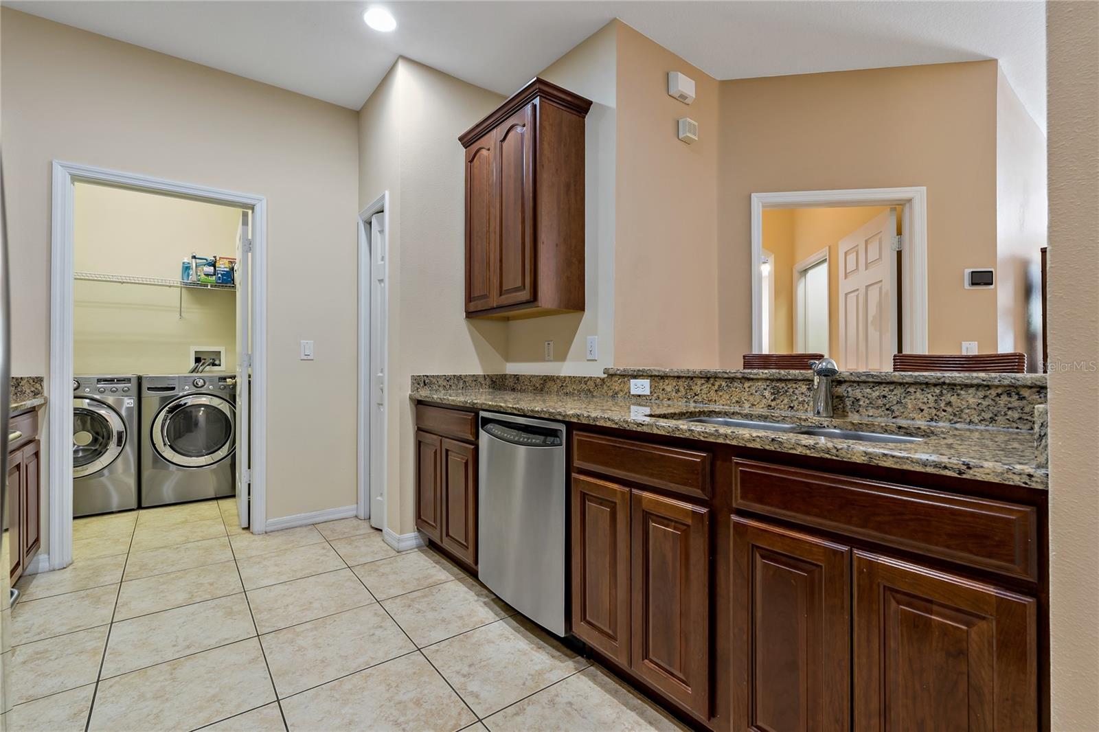 20117 INDIAN ROSEWOOD DR, TAMPA, FL, 33647