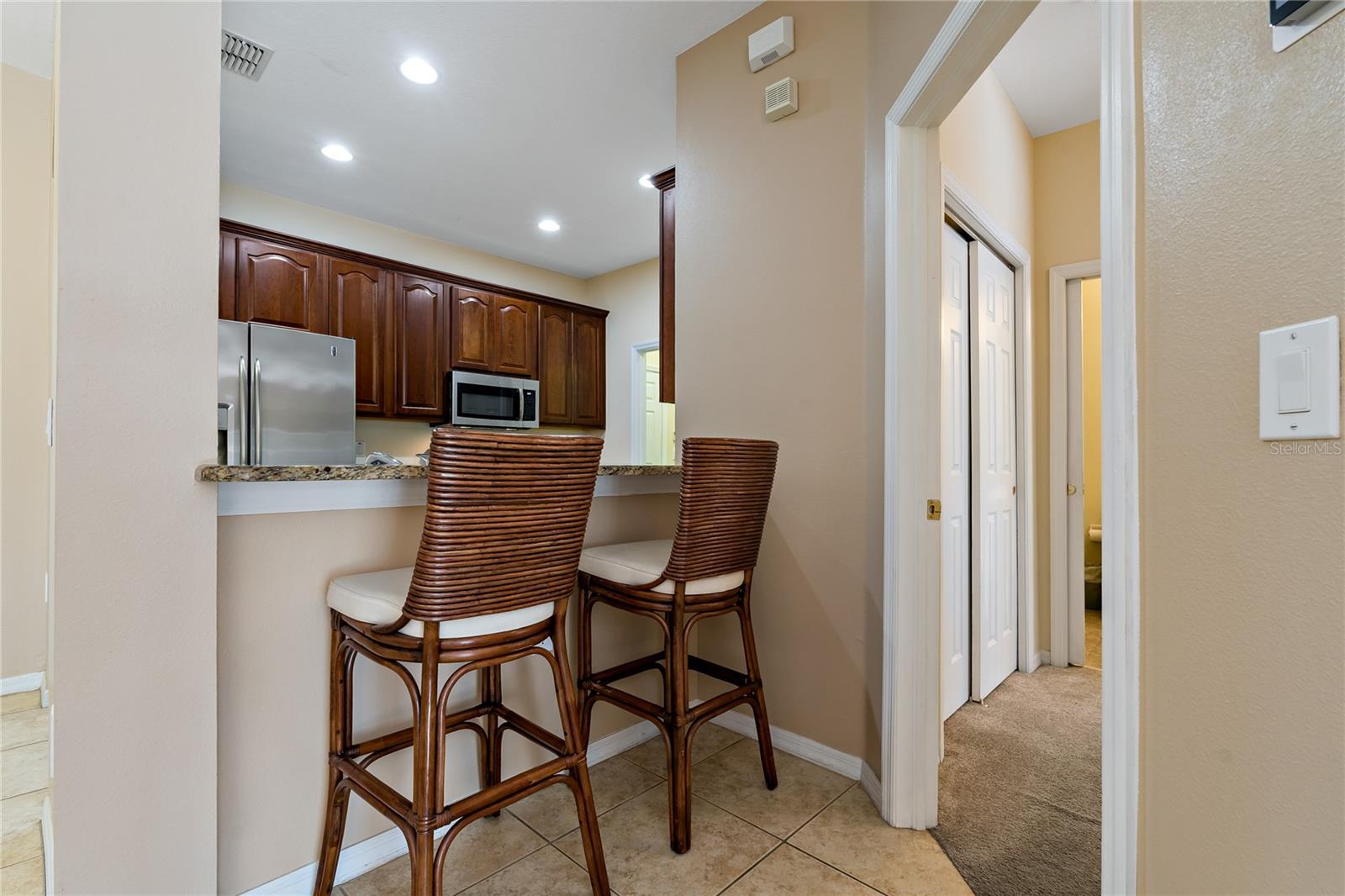 20117 INDIAN ROSEWOOD DR, TAMPA, FL, 33647