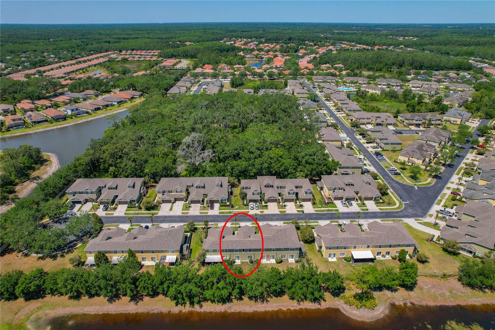 20117 INDIAN ROSEWOOD DR, TAMPA, FL, 33647