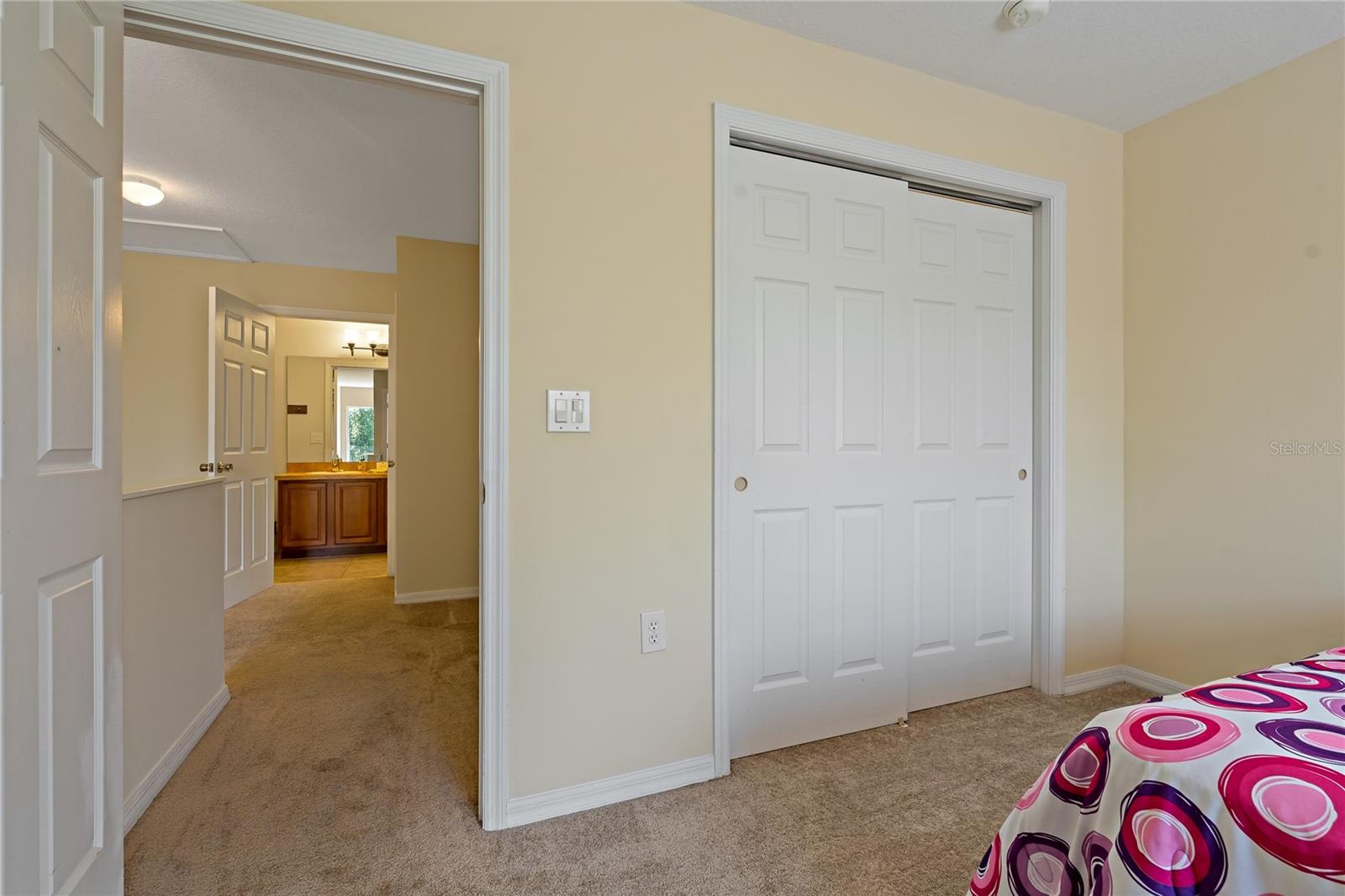 20117 INDIAN ROSEWOOD DR, TAMPA, FL, 33647