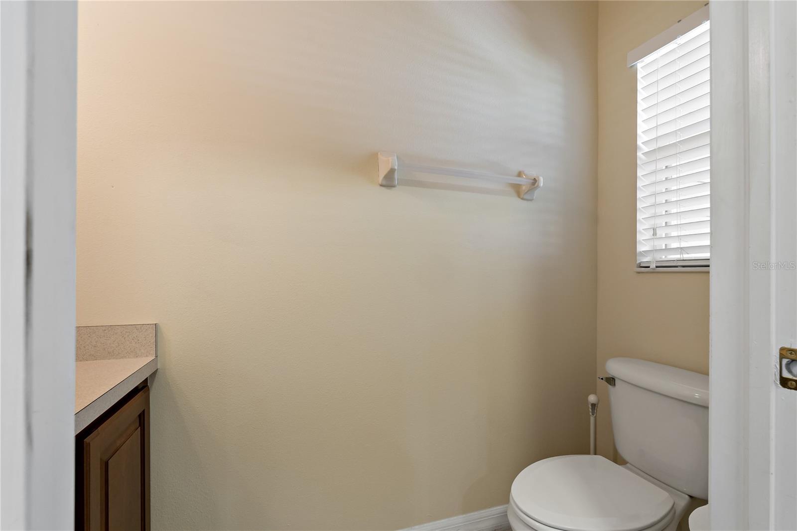 20117 INDIAN ROSEWOOD DR, TAMPA, FL, 33647