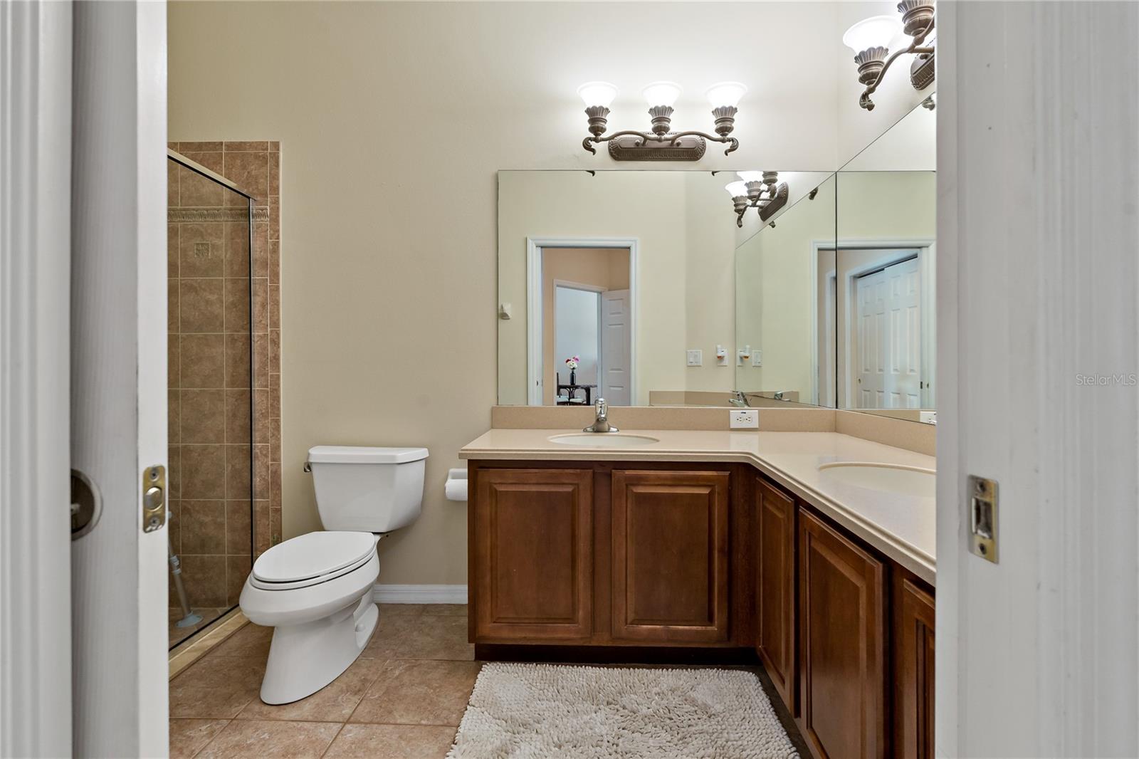 20117 INDIAN ROSEWOOD DR, TAMPA, FL, 33647