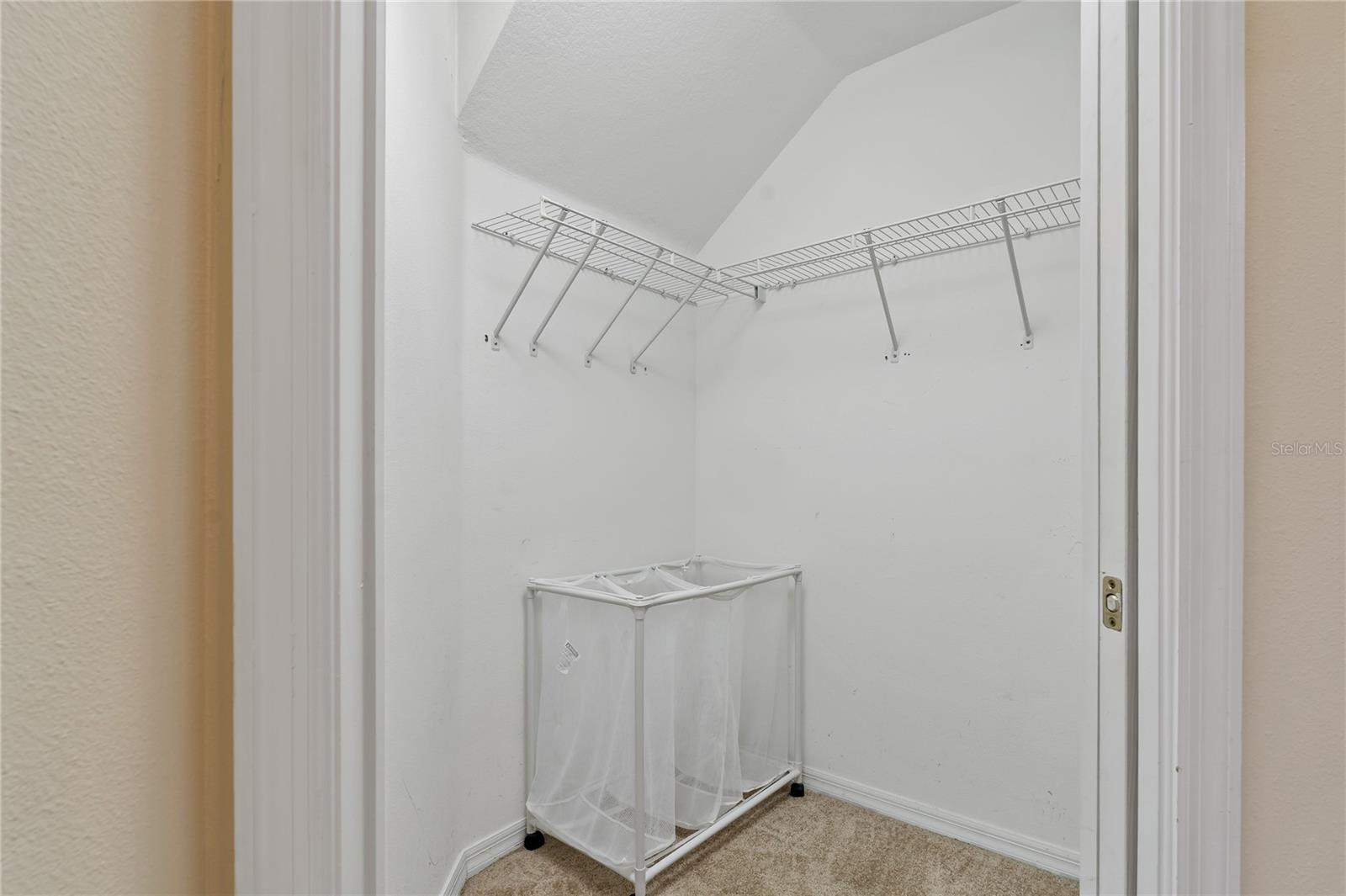 20117 INDIAN ROSEWOOD DR, TAMPA, FL, 33647