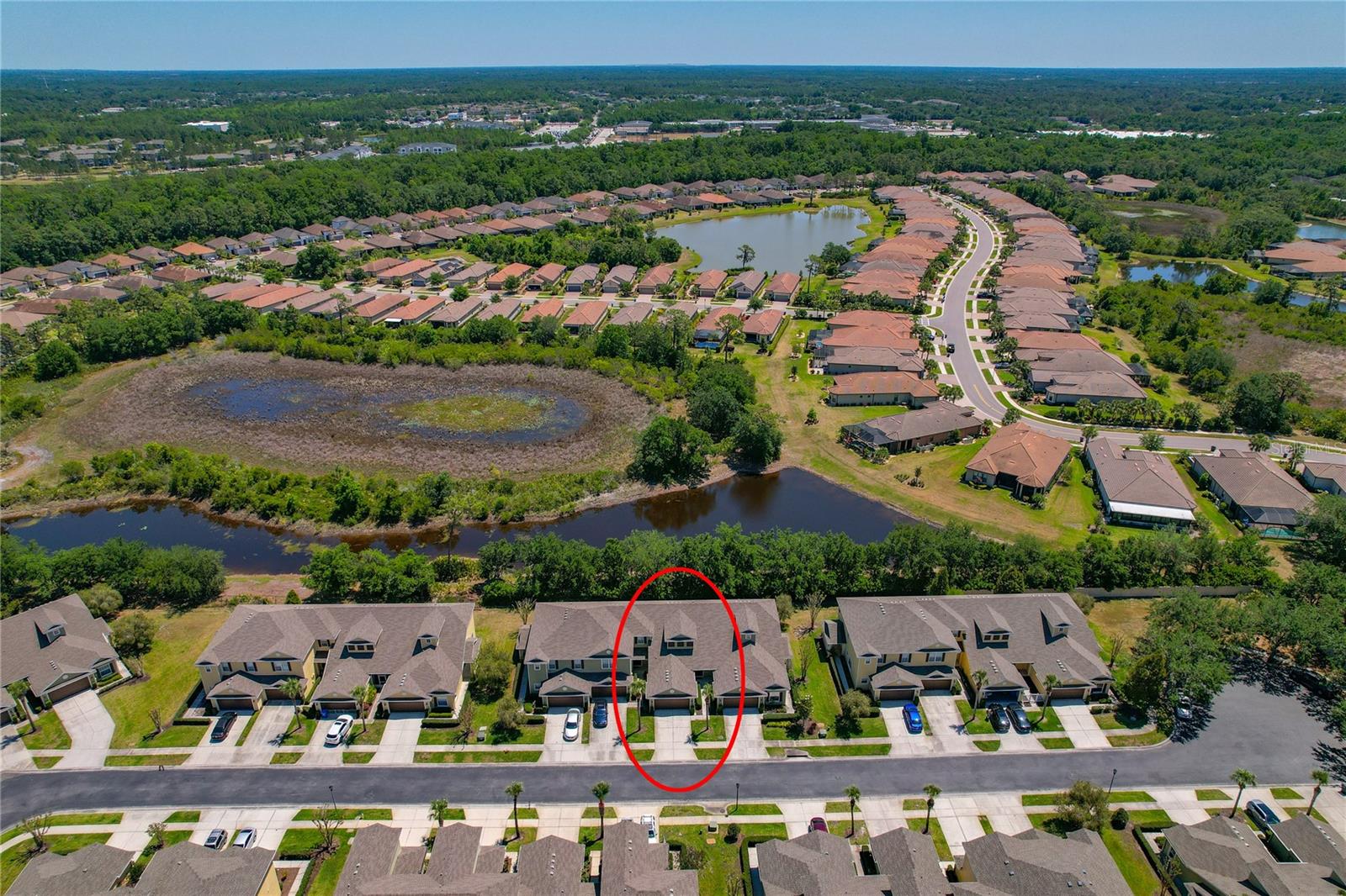 20117 INDIAN ROSEWOOD DR, TAMPA, FL, 33647