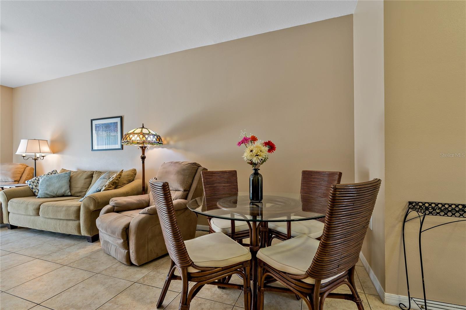 20117 INDIAN ROSEWOOD DR, TAMPA, FL, 33647