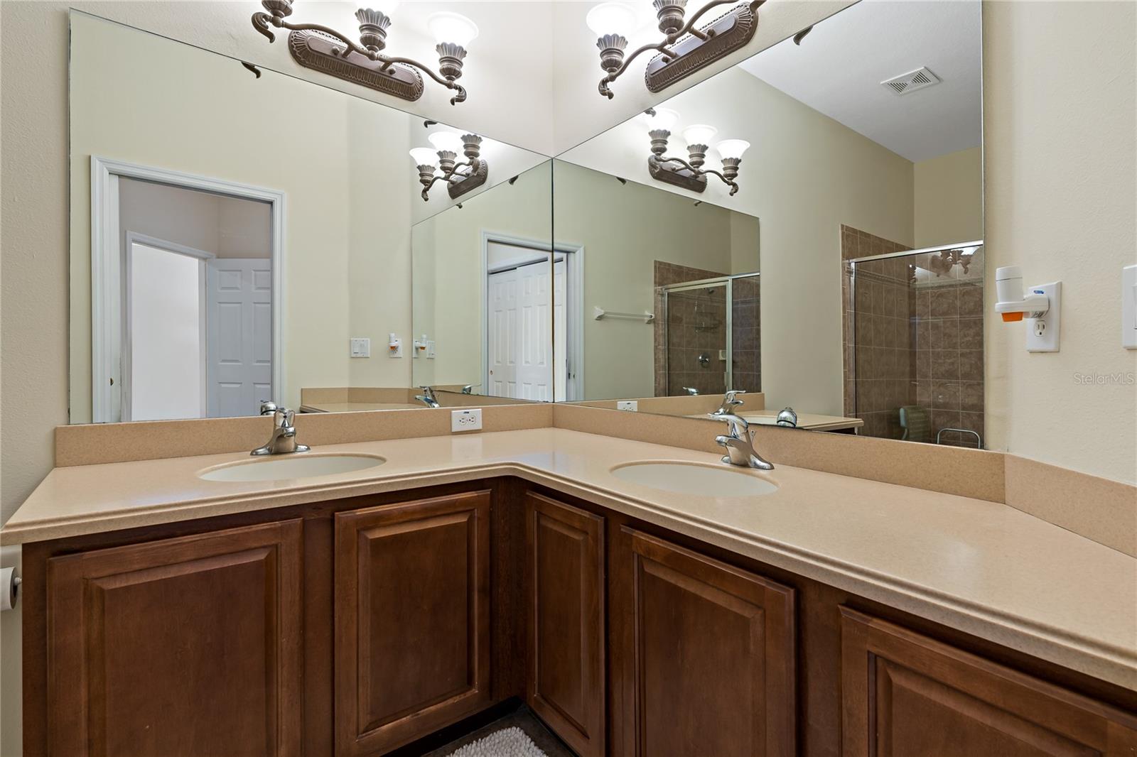 20117 INDIAN ROSEWOOD DR, TAMPA, FL, 33647