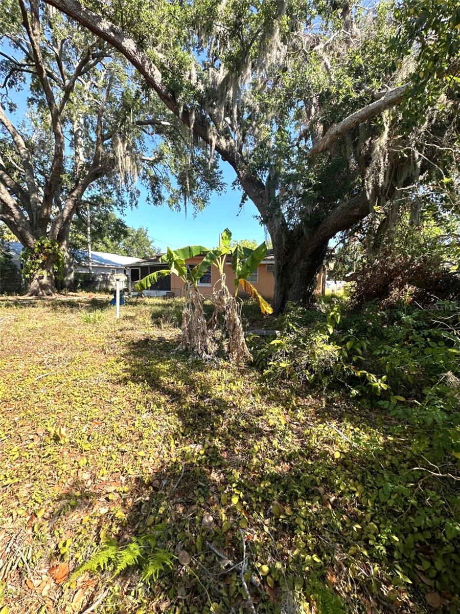 620 SE OLEANDER DR SE, WINTER HAVEN, FL, 33880