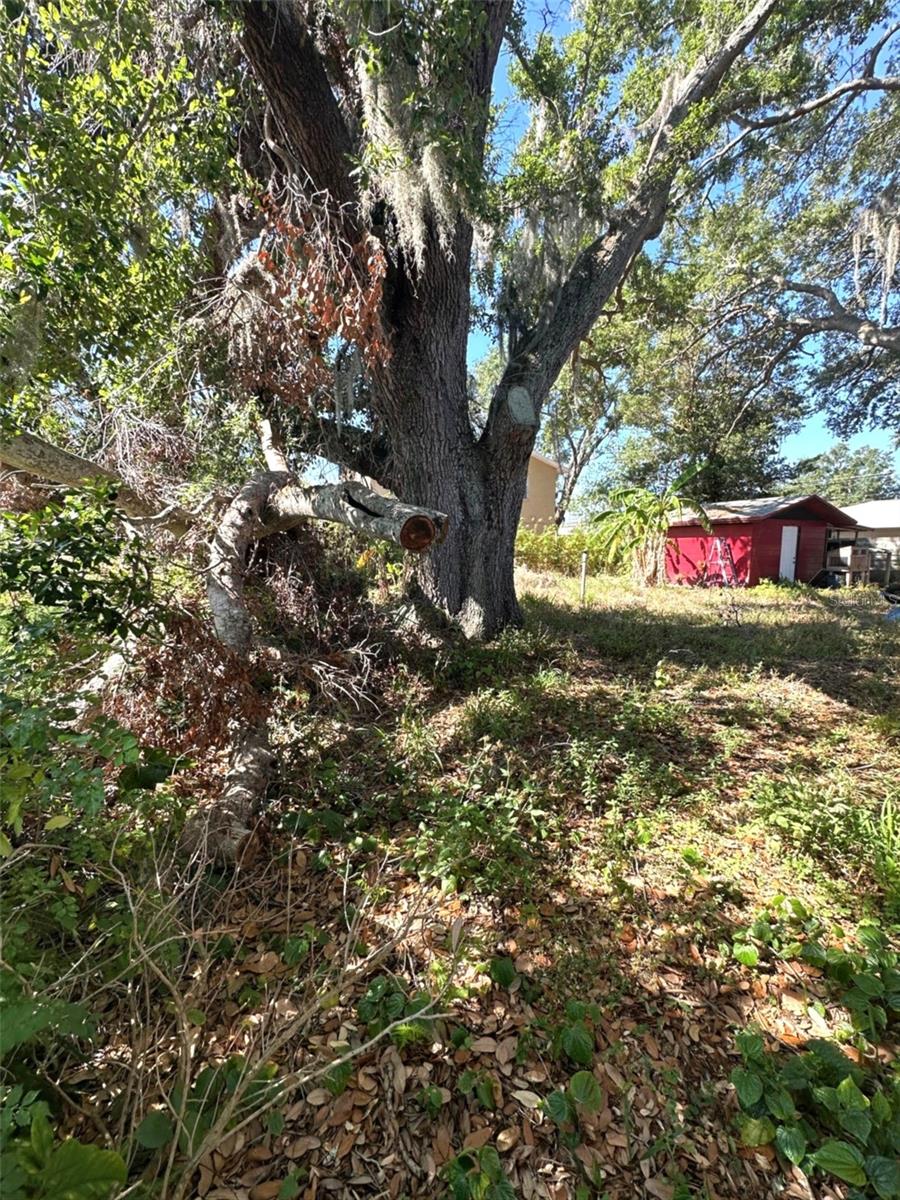 620 SE OLEANDER DR SE, WINTER HAVEN, FL, 33880