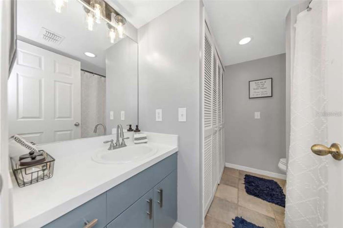 4239 BRENTWOOD PARK CIR, TAMPA, FL, 33624