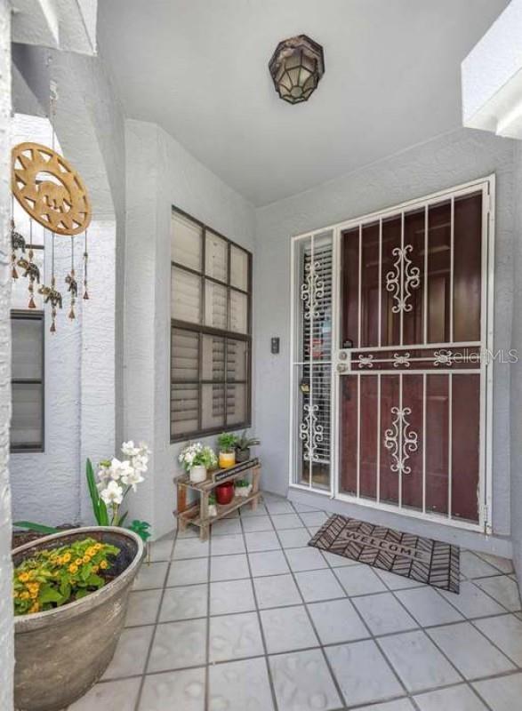 4239 BRENTWOOD PARK CIR, TAMPA, FL, 33624