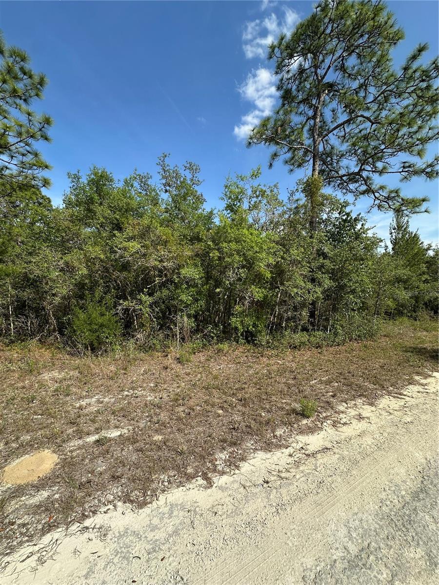 14106 EASTERN PHOEBE RD, BROOKSVILLE, FL, 34614