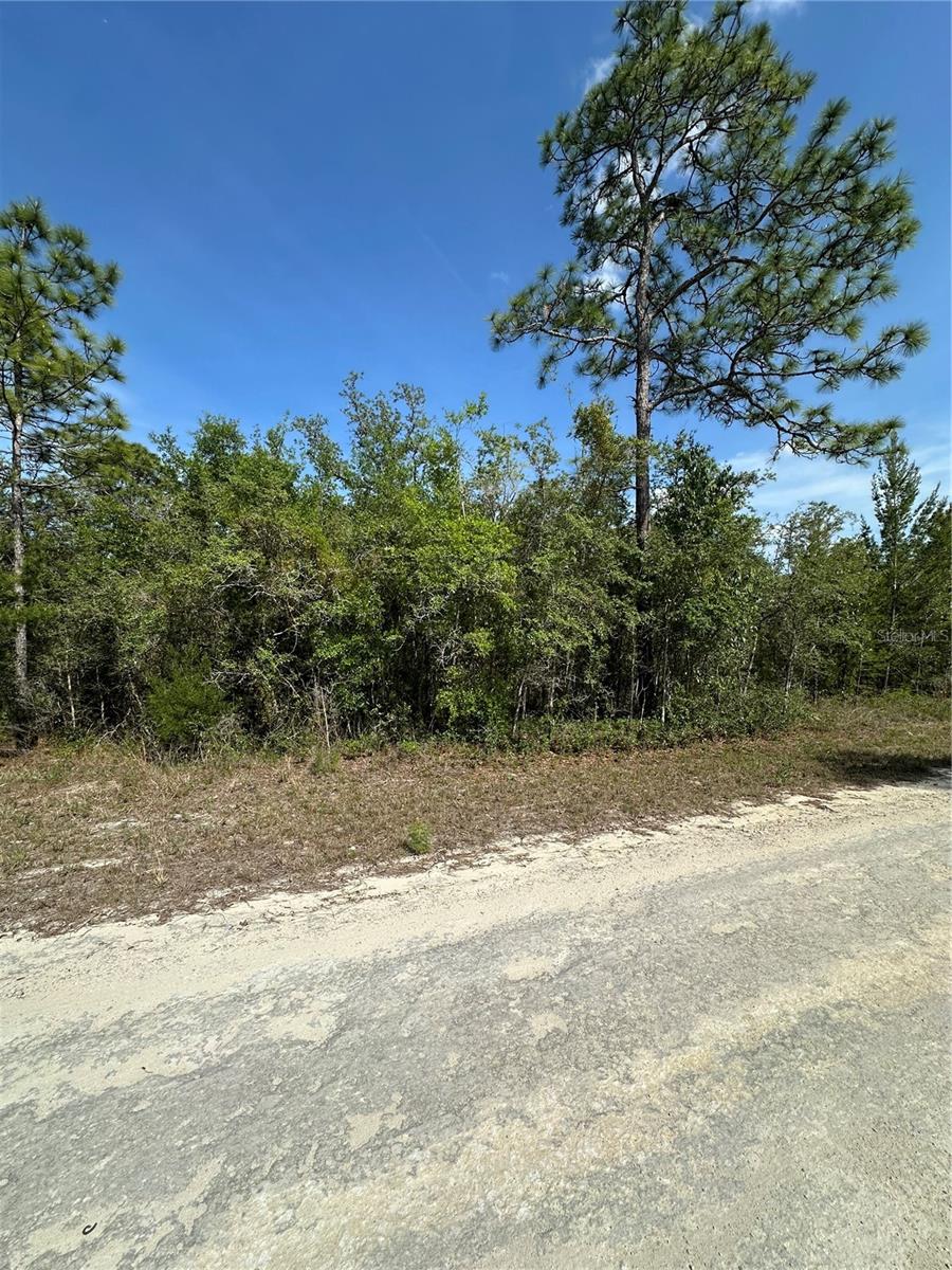 14106 EASTERN PHOEBE RD, BROOKSVILLE, FL, 34614