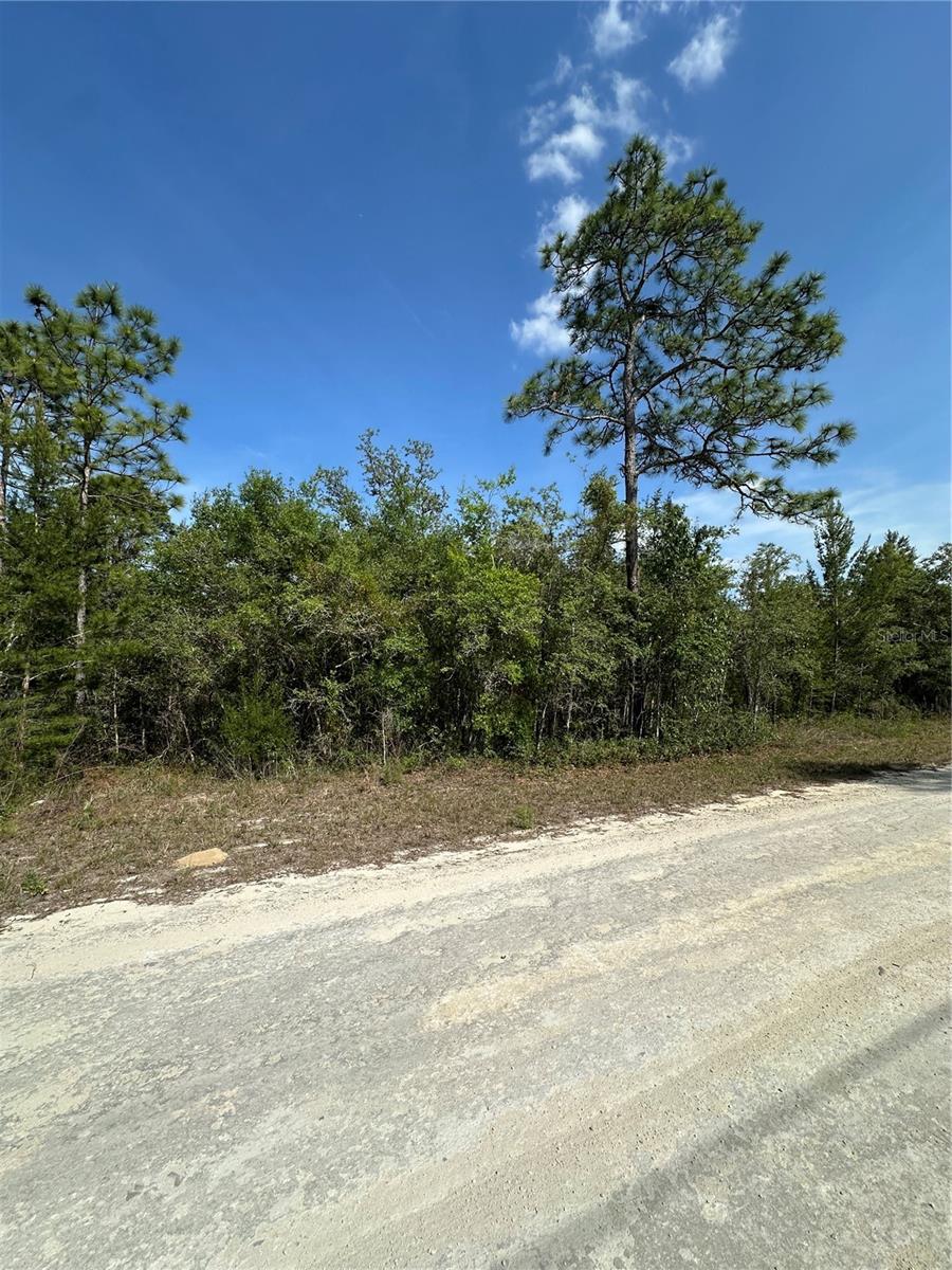 14106 EASTERN PHOEBE RD, BROOKSVILLE, FL, 34614