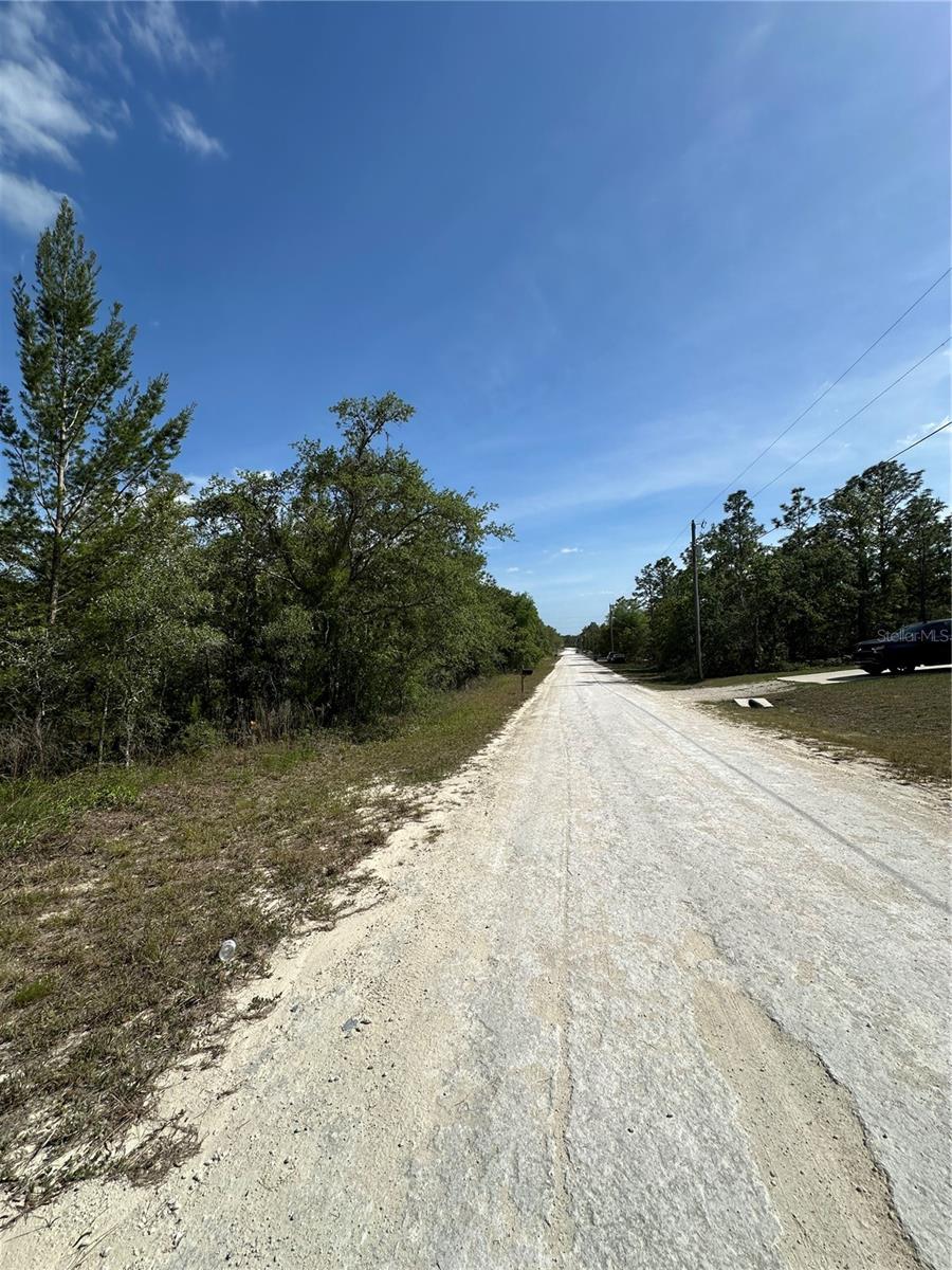 14106 EASTERN PHOEBE RD, BROOKSVILLE, FL, 34614