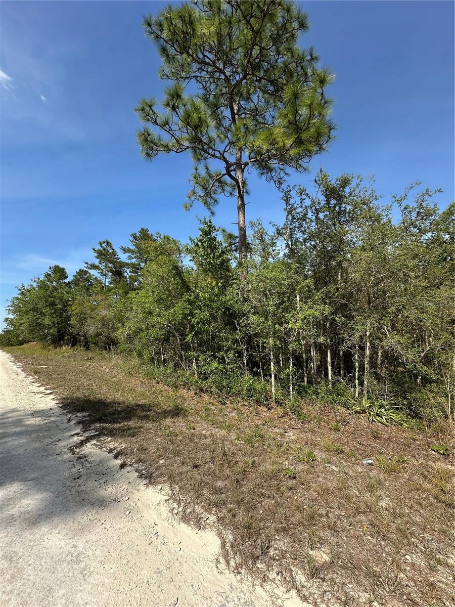 14106 EASTERN PHOEBE RD, BROOKSVILLE, FL, 34614