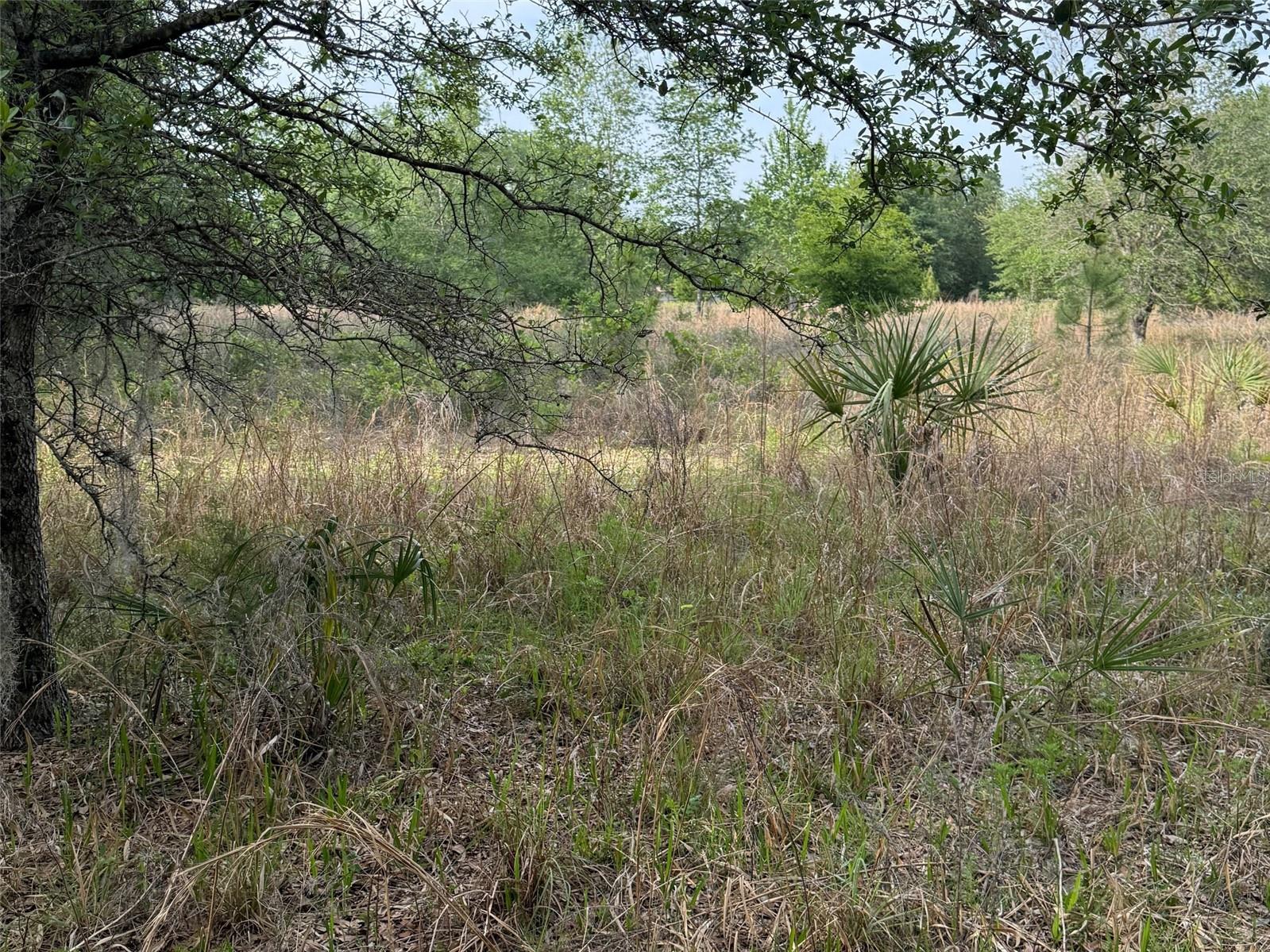 TBD NW 27TH PL, CHIEFLAND, FL, 32626