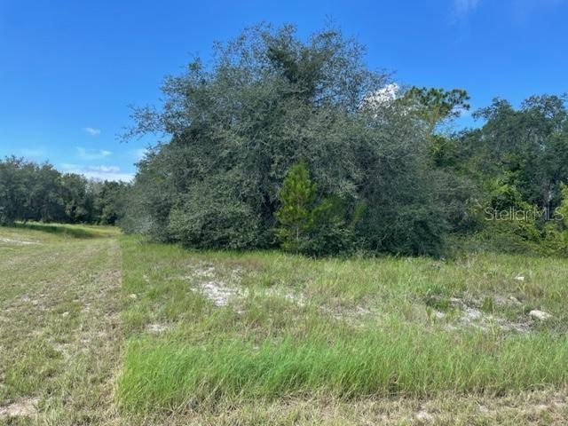 KISSIMMEE WAY, KISSIMMEE, FL, 34759