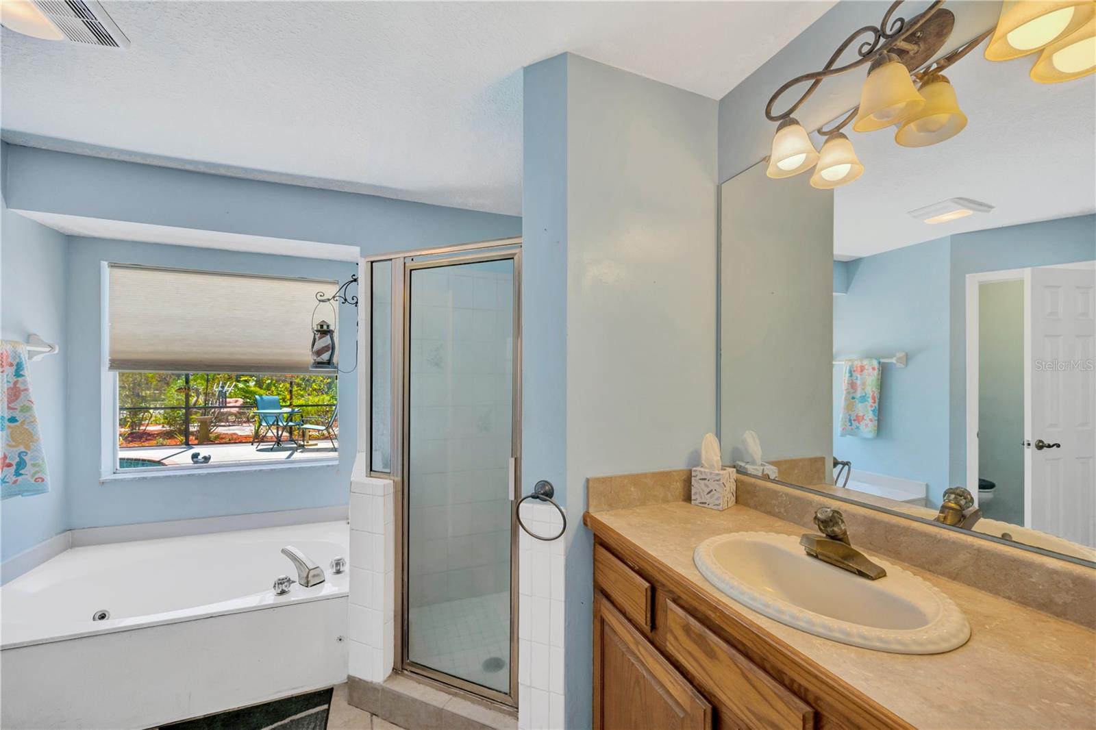 3006 FOREST CLUB DR, PLANT CITY, FL, 33566