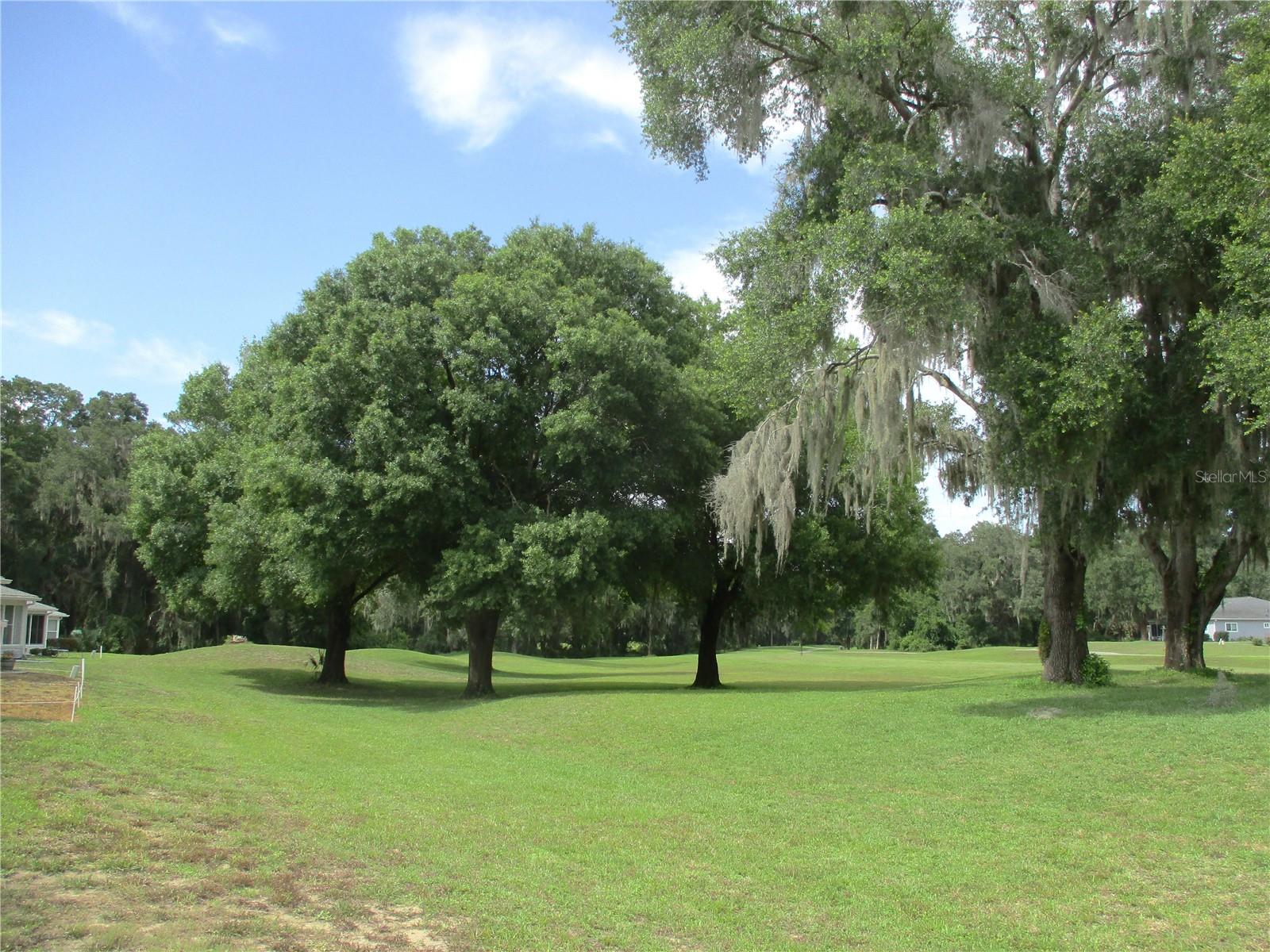 13675 SW 111TH AVE, DUNNELLON, FL, 34432