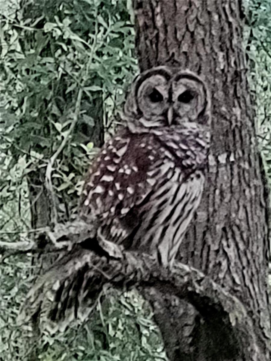 13675 SW 111TH AVE, DUNNELLON, FL, 34432