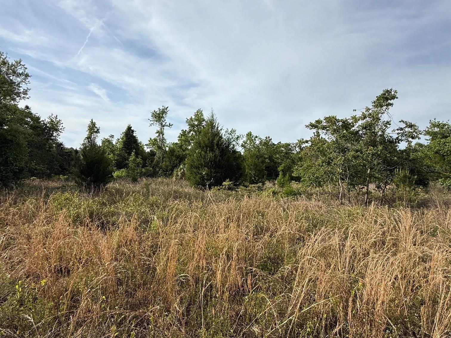 TBD NW 30TH ST, CHIEFLAND, FL, 32626