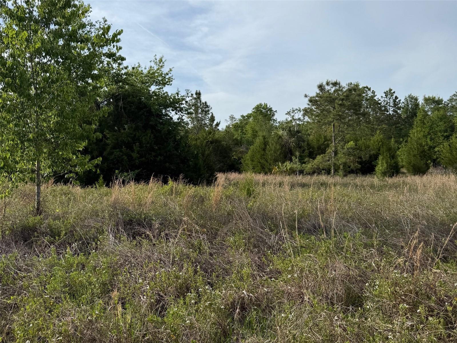 TBD NW 30TH ST, CHIEFLAND, FL, 32626